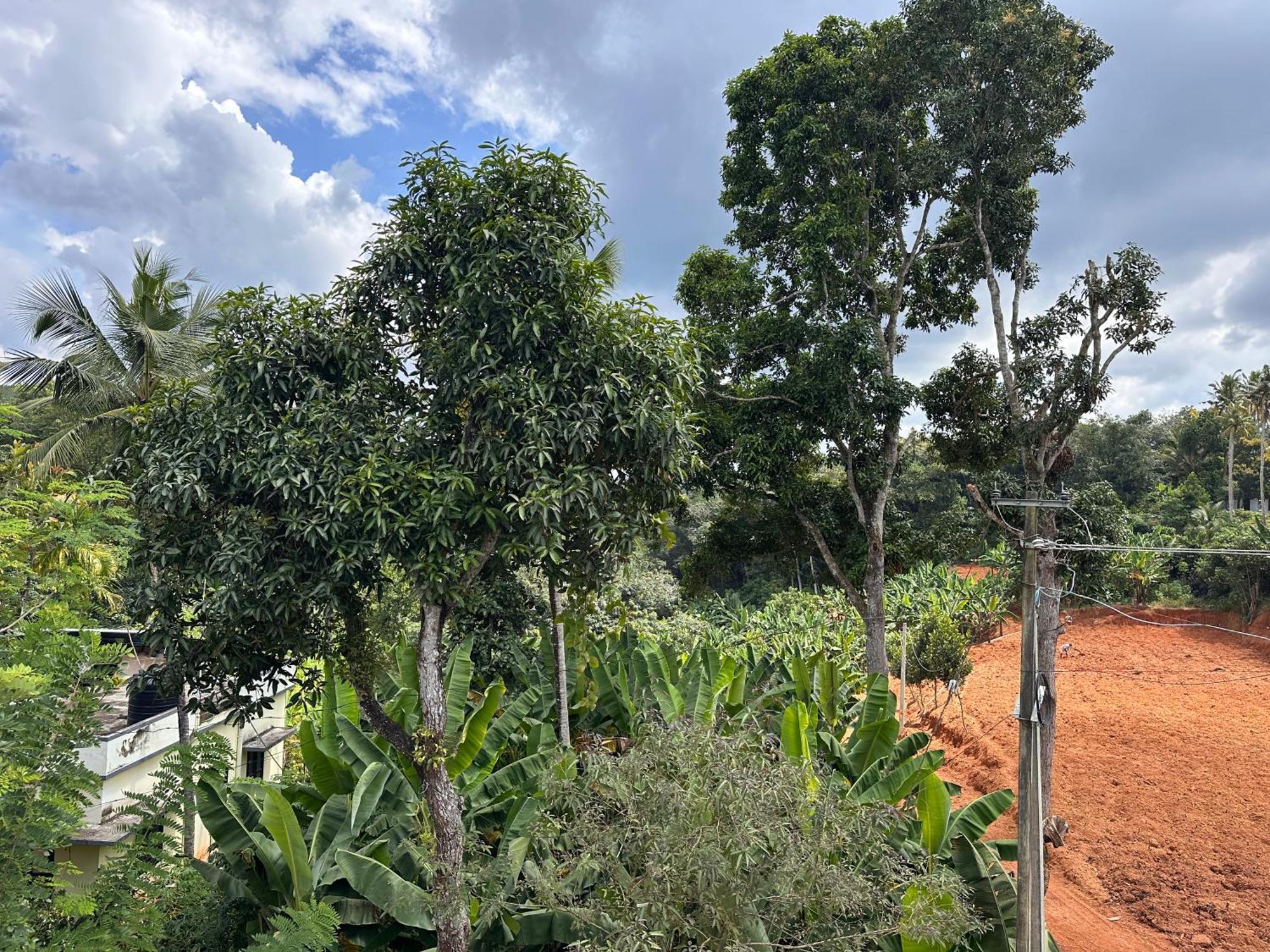 Kattil Farm Stay Varkala Thiruvananthapuram Exterior foto